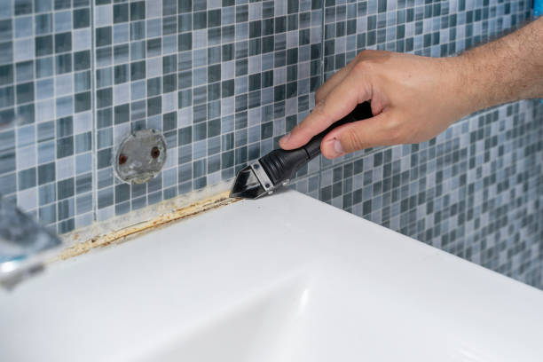 Best Health and Safety Mold Remediation in Lake Crystal, MN